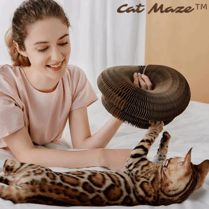 CatMaze™ - Stimulieren Sie die kognitiven Fähigkeiten Ihrer Katze! (zeitlich begrenzter Rabatt von 50%)